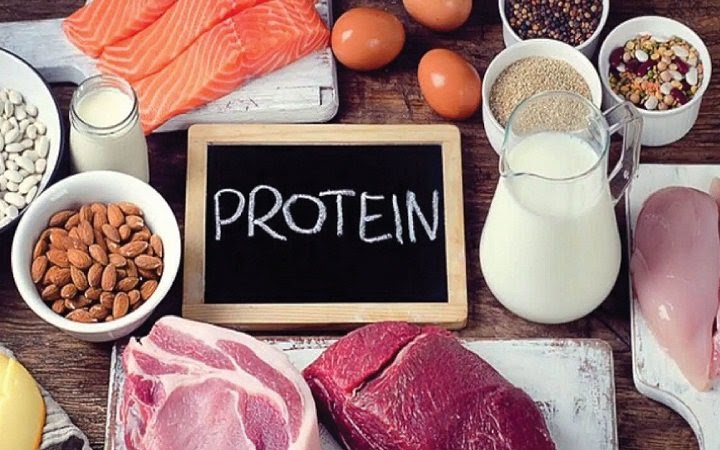 Trong quá trình điều trị, người bệnh nên tăng cường các thực phẩm chứa nhiều protein